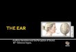 [Neuro] presentation on ear due oct 13 +5