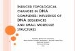 Induced topological changes in dna
