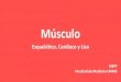 Histología Músculo: Esqueletico, Cardiaco y Liso