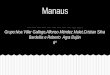 Manaus (1)