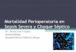 Mortalidad perioperatoria en sepsis severa y choque séptico