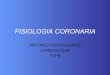 Fisiologia Coronaria