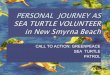 New Smyrna Sea Turtles 1986