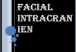 Nerf facial intracr¢nien