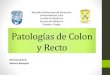 Patologías de colon y recto
