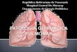 Patologia pulmonar neonatal