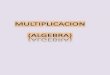 Multipli division(algebraica)