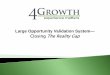 4Growth Large Opportunity Validation System