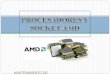 Procesadores y socket AMD