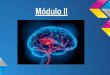 Neurociencias y educación   modulo II