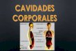 CAVIDADES CORPORALES