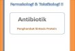 antibiotik   penghambat sintesis protein