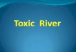 Toxic  river