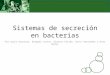 Sistemas de secreción en bacterias