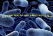 Las bacterias.pdf