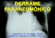 Dr panchito derrame paraneumonico