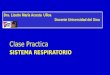 Orientacion clase practica de histologia del sitema   respiratorio
