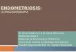 Endometriosis Ultrasonografia