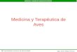 2 medicina y terapeutica_de_aves