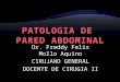 4. patologia pared abdominal