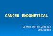 CNcer Endometrial