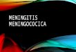 Meningitis meningococica