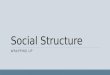 Social structure