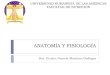 ANATOMIA Y FISIOLOGIA NOCTURNO: Introducción a la Anatomía y Fisiología