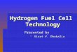 Fuel cell presentation