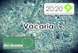 Agenda 2020 no Debates do Rio Grande - Edição Vacaria
