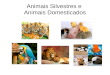 Animais silvestres e domesticados
