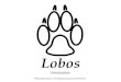Lobos Introduction