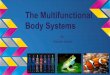 The Multifunctional Body Systems