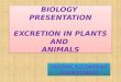 excretion in plants and animals