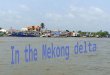 In The Mekong Delta
