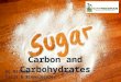 Carbon and Carbohydrates