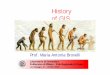 L1 history of_gis
