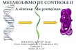 Metabolismo de controle II   Síntese de proteínas - aulas 21 a 24