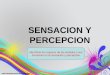 Identificar los órganos de los sentidos y sus funciones en la sensación y percepciónSensacion y percepcion