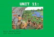 Unit 11: THE PREHISTORY