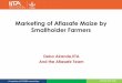 Marketing of Aflasafe Maize by Smallholder Farmers