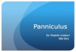 Panniculus (adipose/fat tissue)
