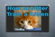 How to Litter Train a Kitten