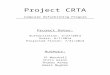 CRTA Project