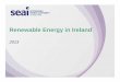 Renewable Energy in Ireland 2013