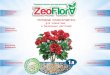 2014 08-20 презентация zeo flora для цветов цтр