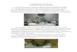01.03.2012 музей археологии москвы 6а (с фото)