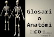 Glosario anatómico Morfofisiologia
