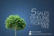 5 Sales Pipeline Growth Lessons from an Orange Tree