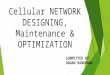 Network designing, maintenance & optimization